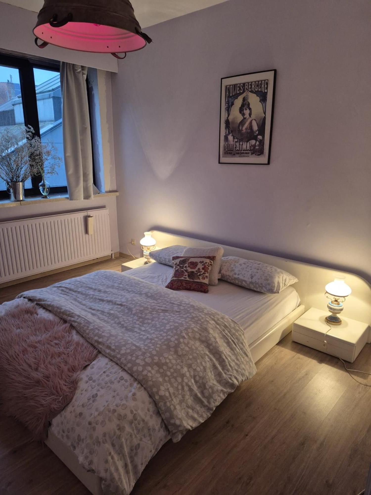 Gent'S Accomodations For Short And Middle Long Stay Экстерьер фото
